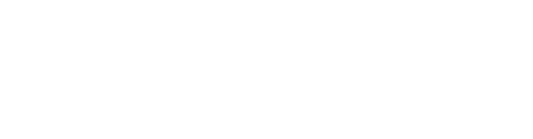 Quantum Point